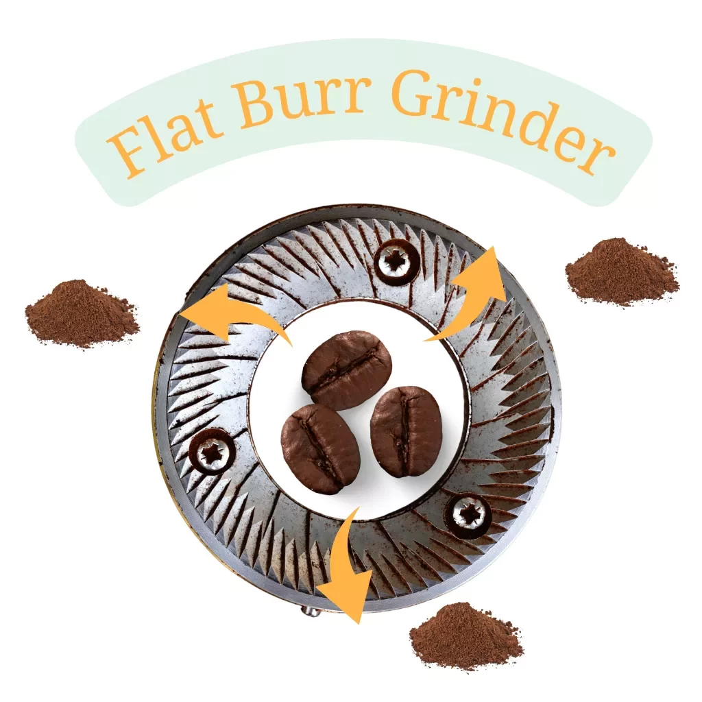 Flat Burr Grinder Header
